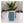 Load image into Gallery viewer, 33 Acres Brewing Co. 33 Acres Of Ocean West Coast Pale Ale