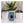 Load image into Gallery viewer, 33 Acres Brewing Co. 33 Acres Of Ocean West Coast Pale Ale