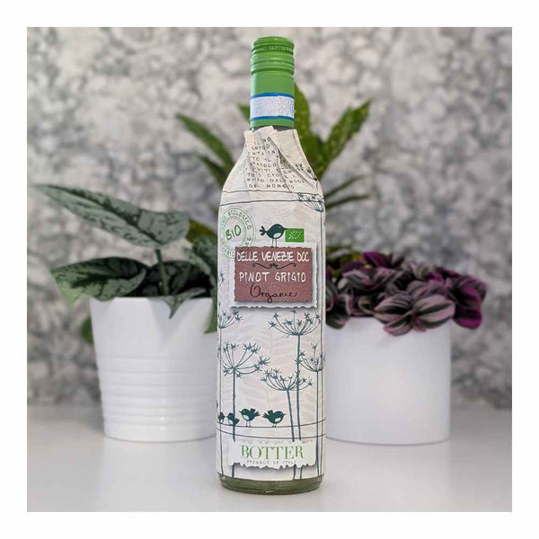 Botter Uccellini Delle Venezie Pinot Grigio