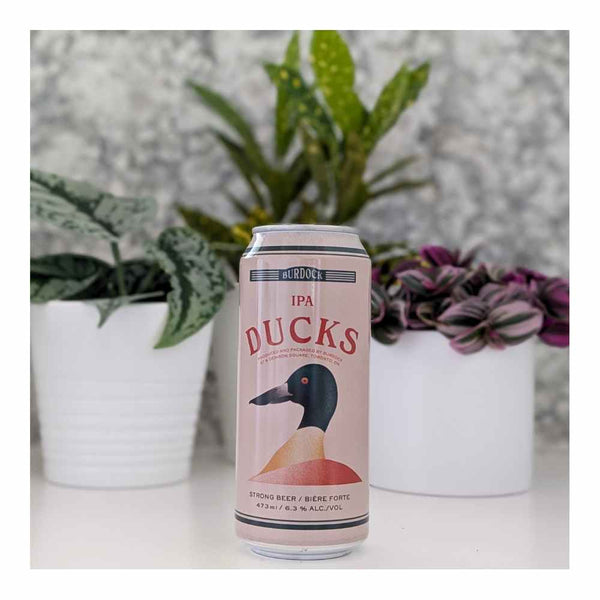 Burdock Ducks Hazy IPA