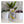 Load image into Gallery viewer, Changing Colours Brewing Project Generator DDH West Coast PIlsner
