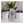 Load image into Gallery viewer, Changing Colours Brewing Project Holiday Exp. Hoppy Ale