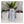 Load image into Gallery viewer, Changing Colours Brewing Project Holiday Exp. Hoppy Ale