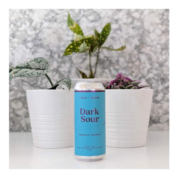 Field House Brewing Co. Dark Blackberry Blueberry Sour