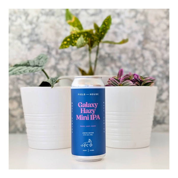 Field House Brewing Co. Galaxy Hazy Mini IPA