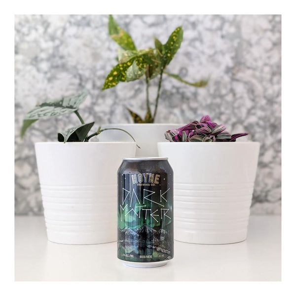 Hoyne Brewing Company Dark Matter