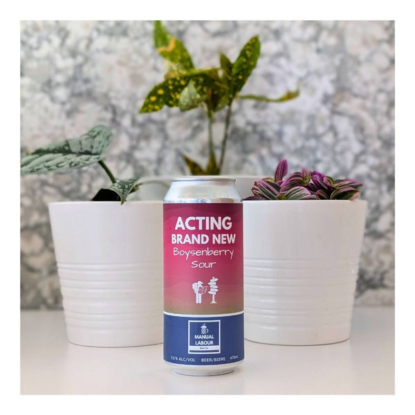 Manual Labour Beer Co. Acting Brand New Boysenberry Sour