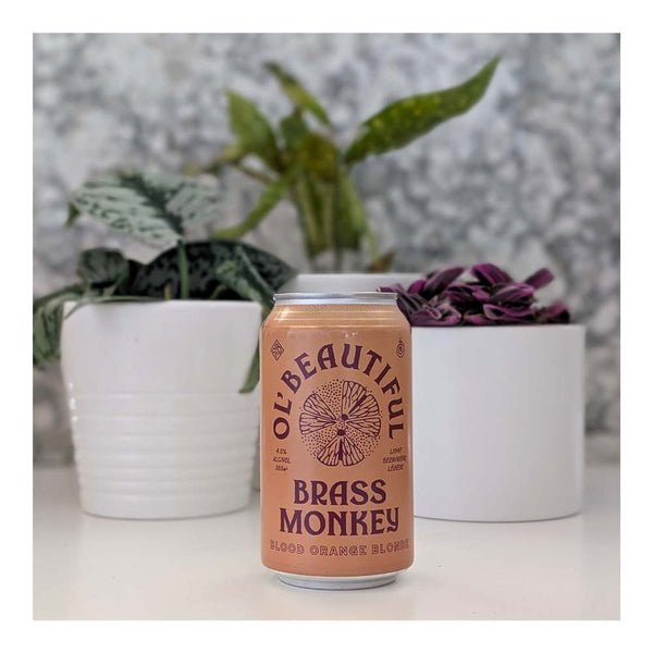 Ol' Beautiful Brewing Company Brass Monkey Blood Orange Blonde