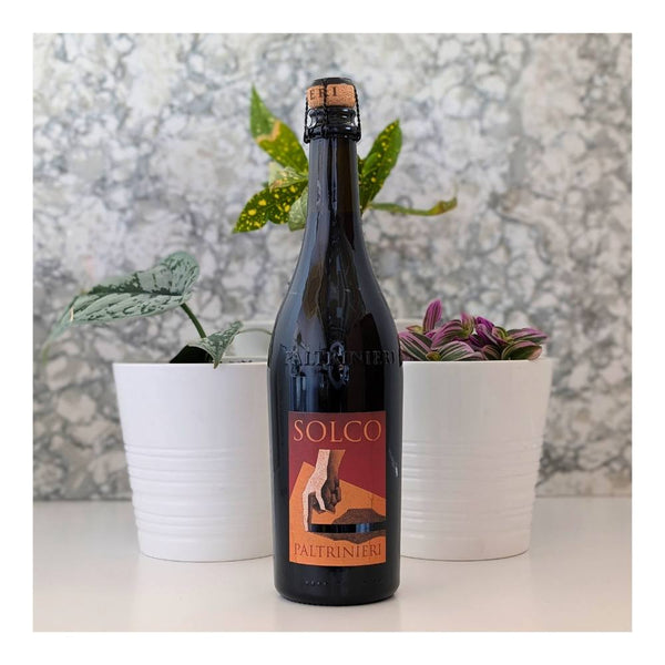 Paltrinieri Solco Lambrusco