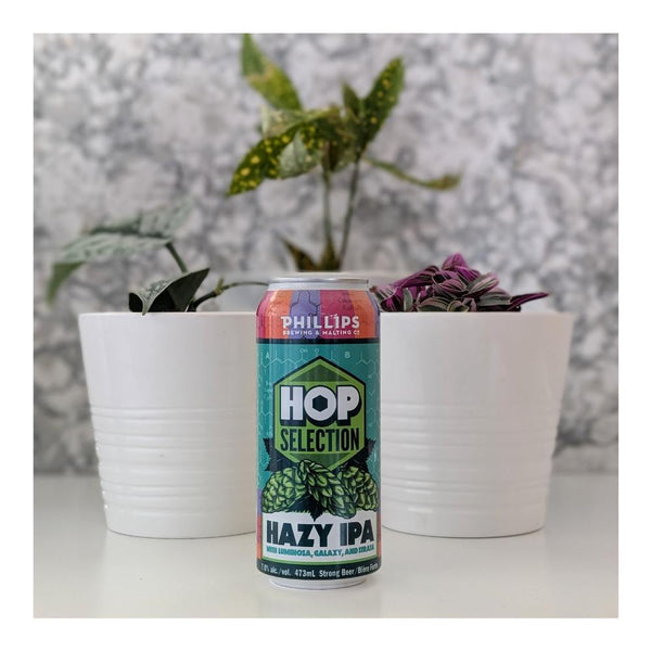 Phillips Brewing & Malting Hop Selection - Luminosa, Galaxy and Strata Hazy IPA