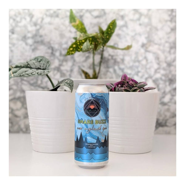 Polyrhythm Brewing Snare Buzz New England IPA