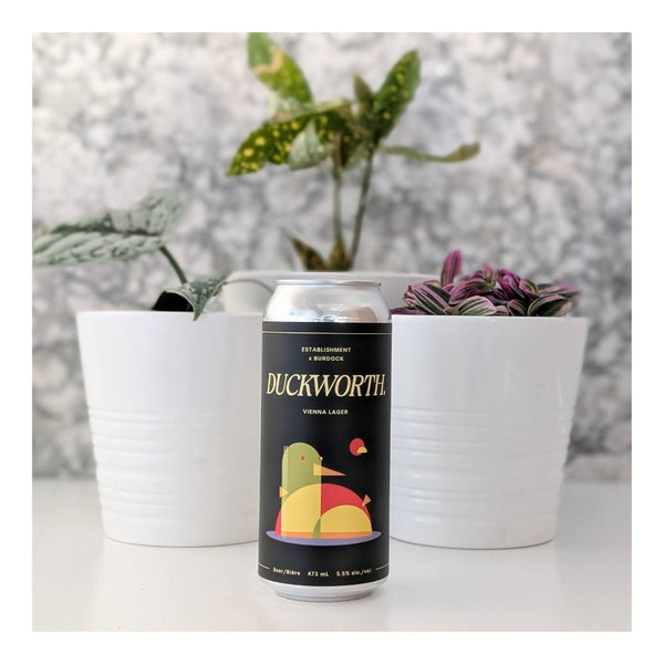 The Establishment Brewing Company x Burdock Brewery Duckworth Vienna Lager