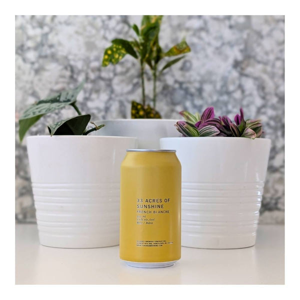 33 Acres Of Sunshine Witbier