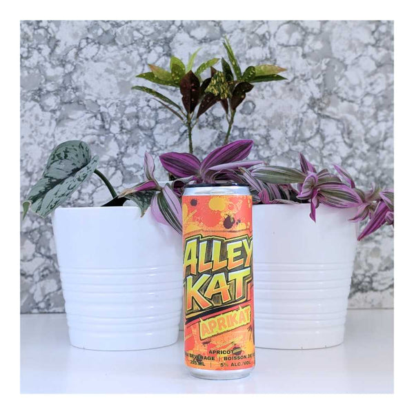 Alley Kat Brewing Company Aprikat Apricot Vodka Beverage