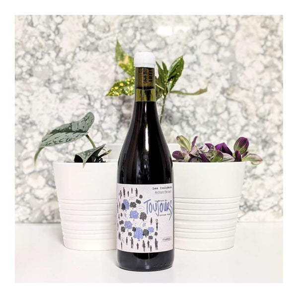 Artisans Partisans Les Indigenes La Nature dit Toujours Quelque Chose Cinsault Red Wine