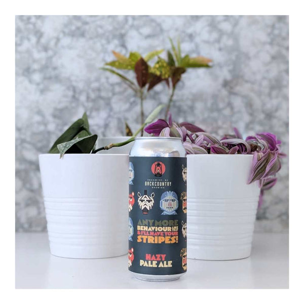 Backcountry Brewing Anymore Behaviour Like That & I'll Have Your Stripes!⁠ Hazy Pale Ale