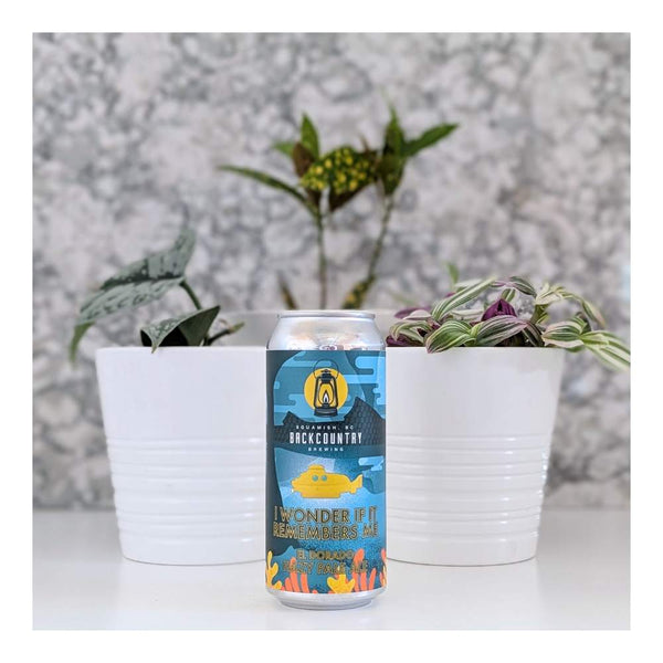 Backcountry Brewing I Wonder If It Remembers Me Hazy Pale Ale