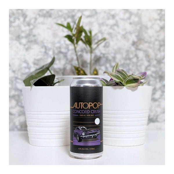 Blood Brothers Brewing Autopop Concord Crush Session Sour