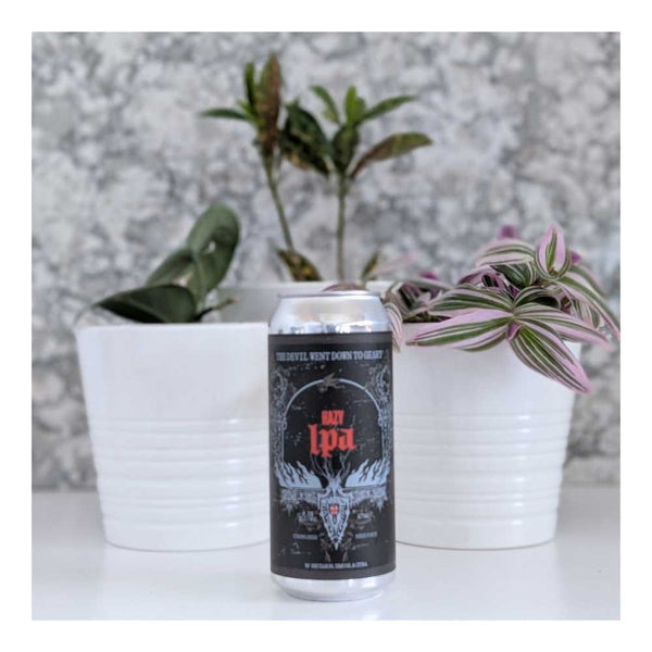 Blood Brothers Brewing The Devil Went Down to Geary Hazy IPA