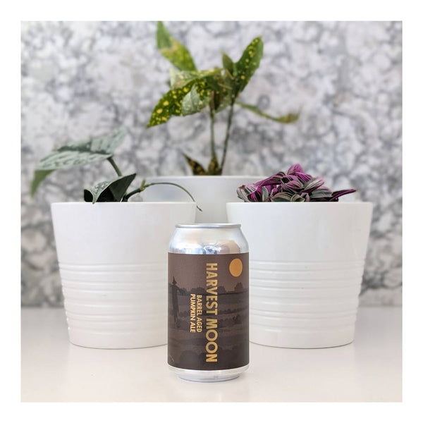 Born Brewing Co. Harvest Moon (Barrel-Aged) Pumpkin Ale