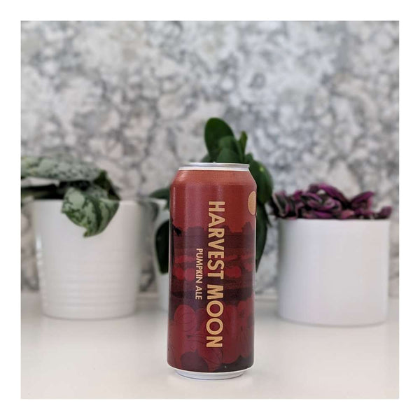 Born Brewing Co. Harvest Moon Pumpkin Ale