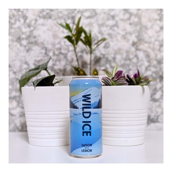 Born Brewing Co. Wild Ice Saison with Lemon