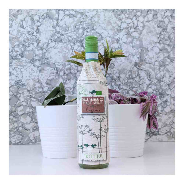 Botter Uccellini Delle Venezie Pinot Grigio