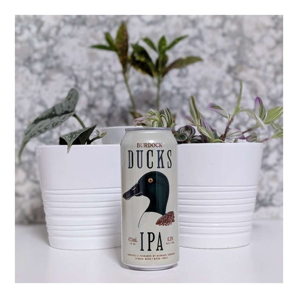 Burdock Ducks Hazy IPA