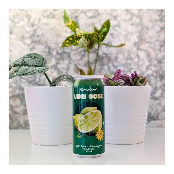 Burdock Brewery Lime Gose