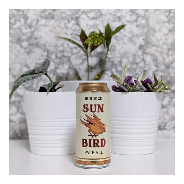 Burdock Brewery Sun Bird Hazy Pale Ale