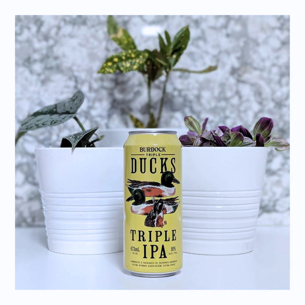 Burdock Brewery Triple Ducks IPA