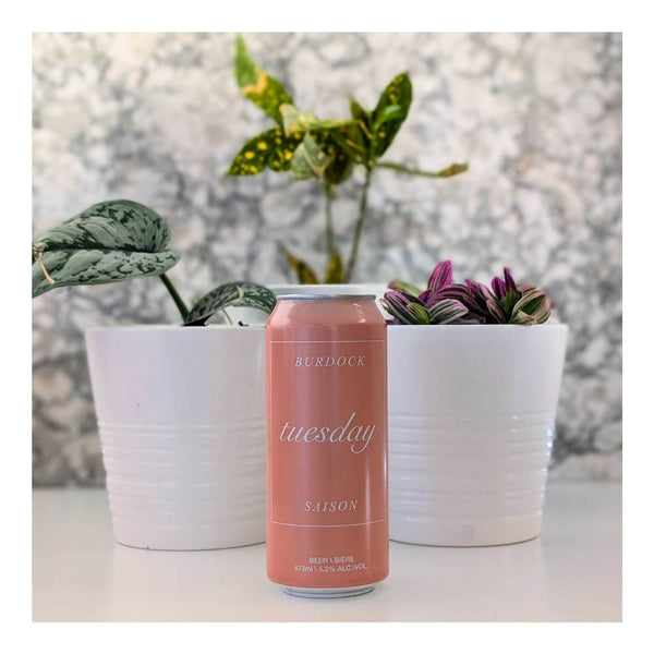 Burdock Brewery Tuesday Saison