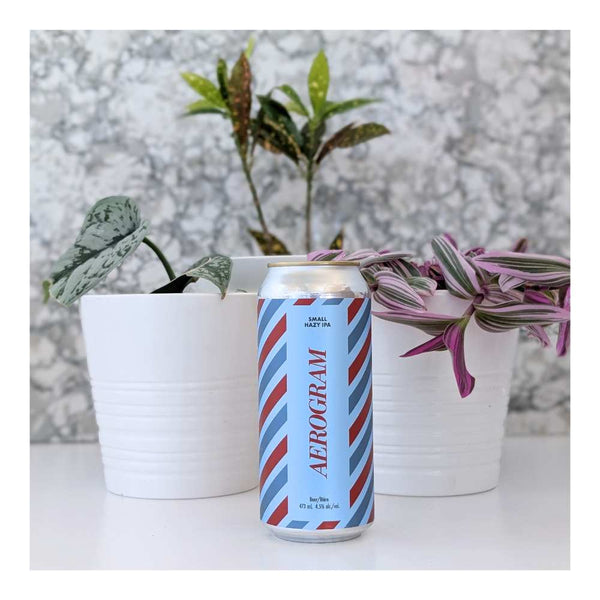 Cabin Brewing Company Aerogram Hazy Pale Ale