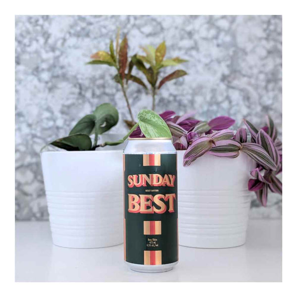 Cabin Brewing Company Sunday Best ESB