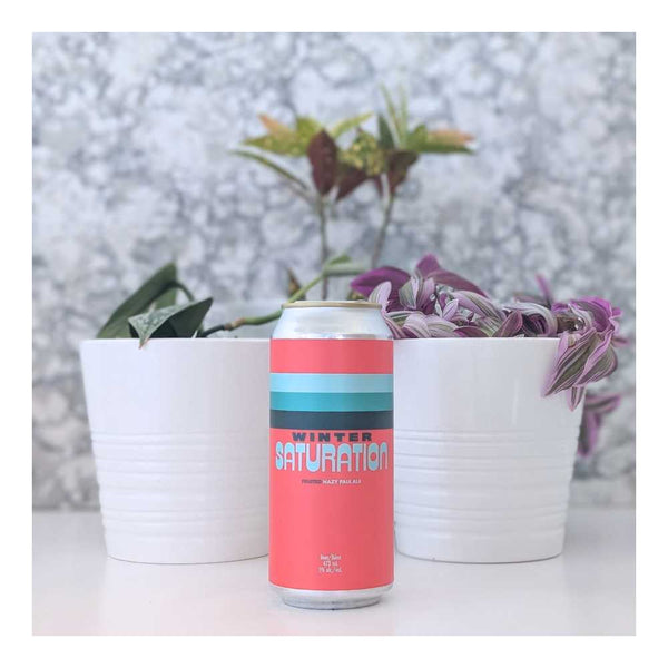 Cabin Brewing Company Winter Saturation Fruited Hazy Pale Ale