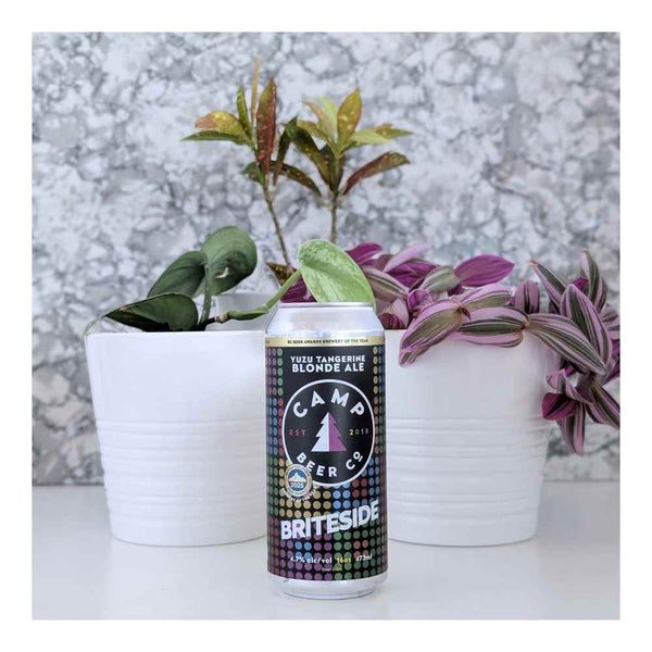 Camp Beer Co. Briteside Yuzu & Tangerine Blonde Ale