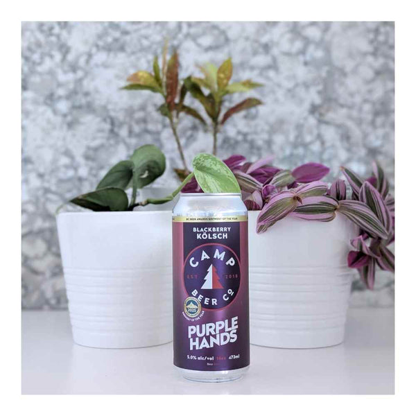 Camp Beer Co. Purple Hands Blackberry Kolsch