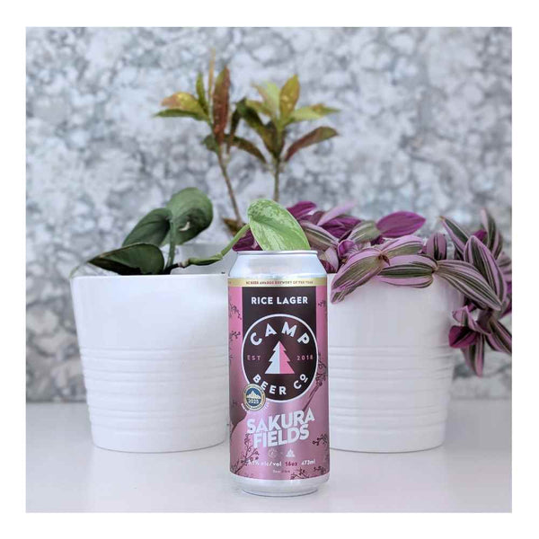 Camp Beer Co. x Coast Mountain Brewing Sakura Fields Rice Lager