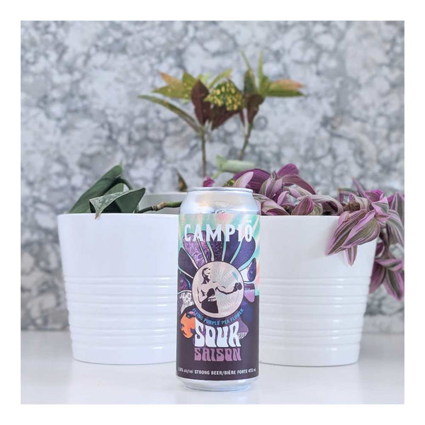 Campio Brewing Flying Purple Pea Flower Sour Saison