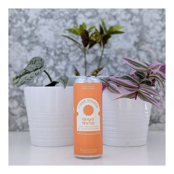 Casa Pinata Ginger Shrub Premium Alcohol-Free Cocktails