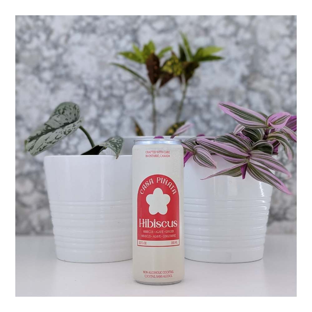 Casa Pinata Hibiscus Premium Alcohol-Free Cocktails – Collective - A ...