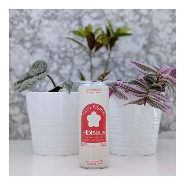 Casa Pinata Hibiscus Premium Alcohol-Free Cocktails