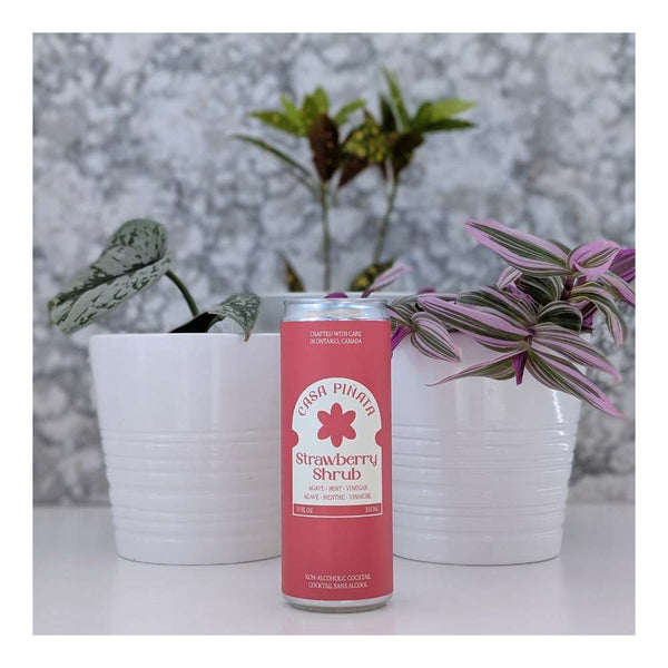 Casa Pinata Strawberry Shrub Premium Alcohol-Free Cocktails