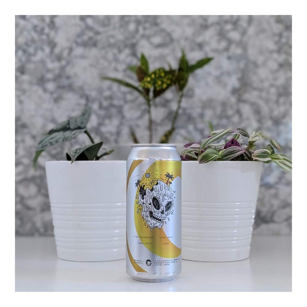 Changing Colours Brewing Project Generator DDH West Coast PIlsner