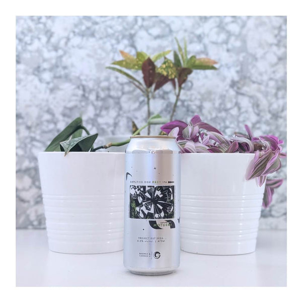 Changing Colours Brewing Project The Boy Who Destroyed the World: Project 037.2026. Amplified DDH Hazy IPA