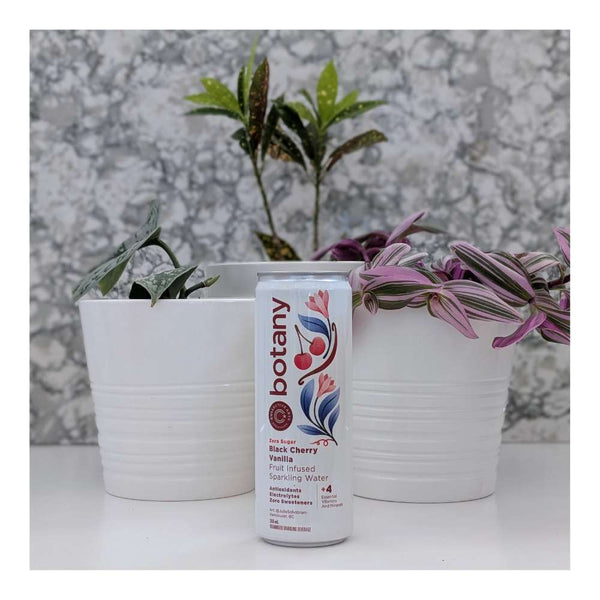 Collective Arts Brewing Botany: Black Cherry & Vanilla Infused Sparkling Water Non-Alcoholic