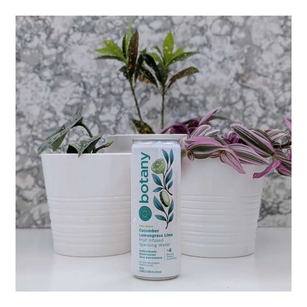 Collective Arts Brewing Botany: Cucumber, Lemongrass & Lime Infused Sparkling Water Non-Alcoholic
