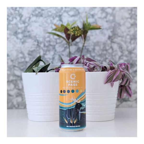 Collective Arts Brewing Scenic Pass West Coast IPA