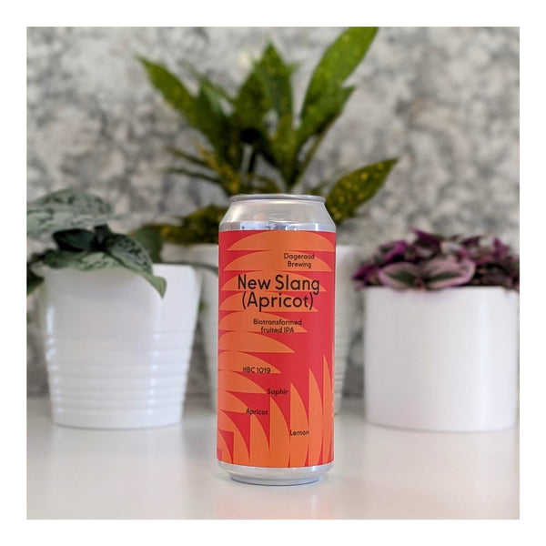Dageraad Brewing New Slang (Apricot) Fruited IPA