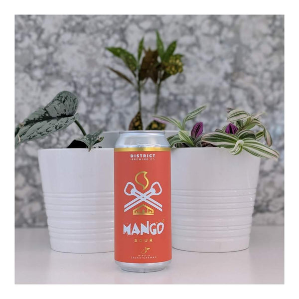 District Brewing Co. Mango Sour